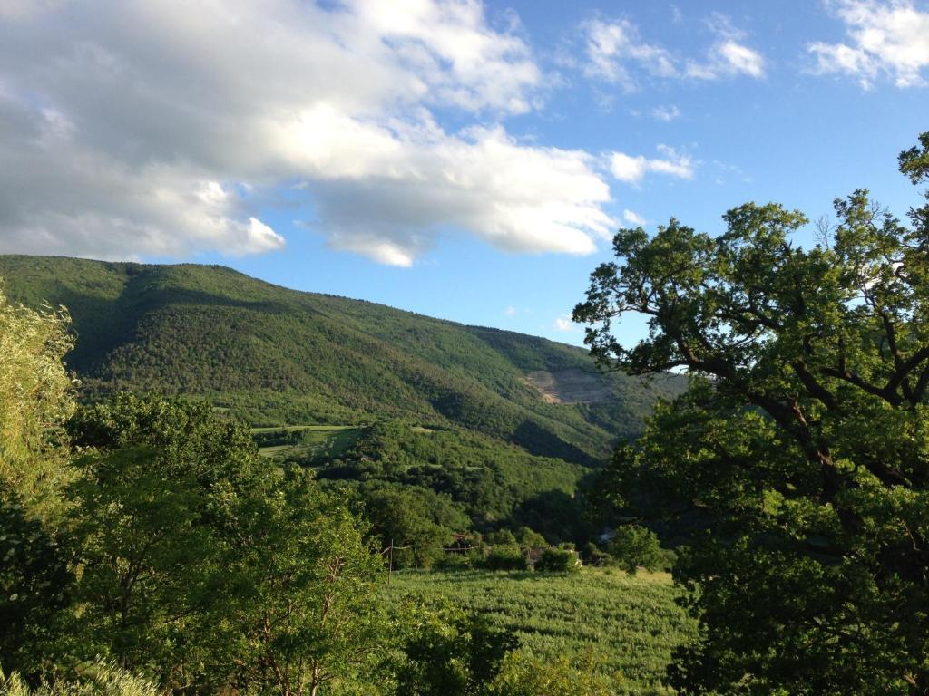 הוילה אסיסי Agriturismo Nizzi מראה חיצוני תמונה